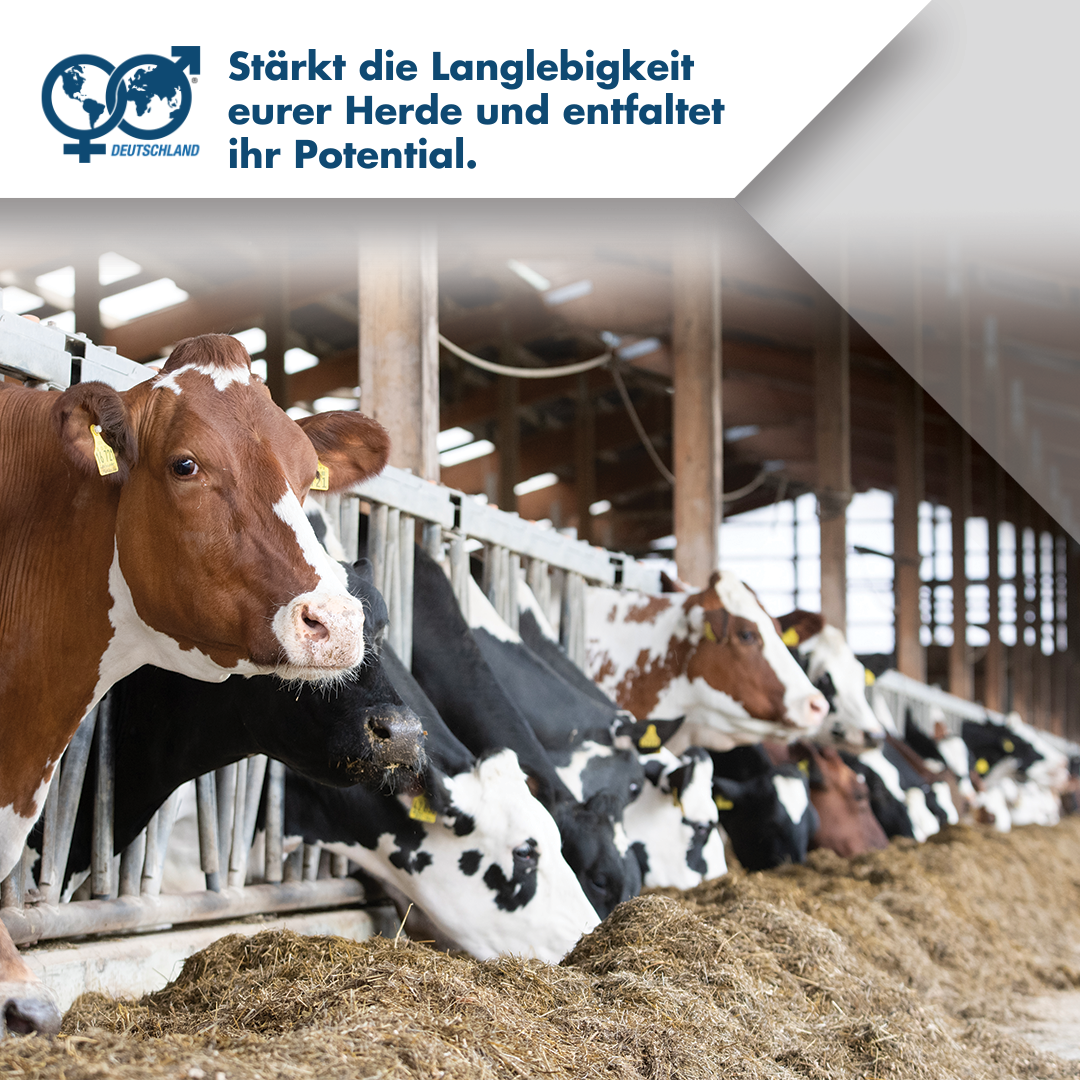 Langlebigkeit Ihrer Herde stärken und Potential entfalten – World Wide